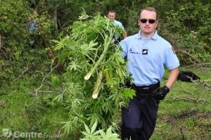 operation-gendarmerie-destruction-plantation-cannabis__zad_sivens